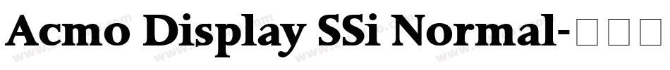 Acmo Display SSi Normal字体转换